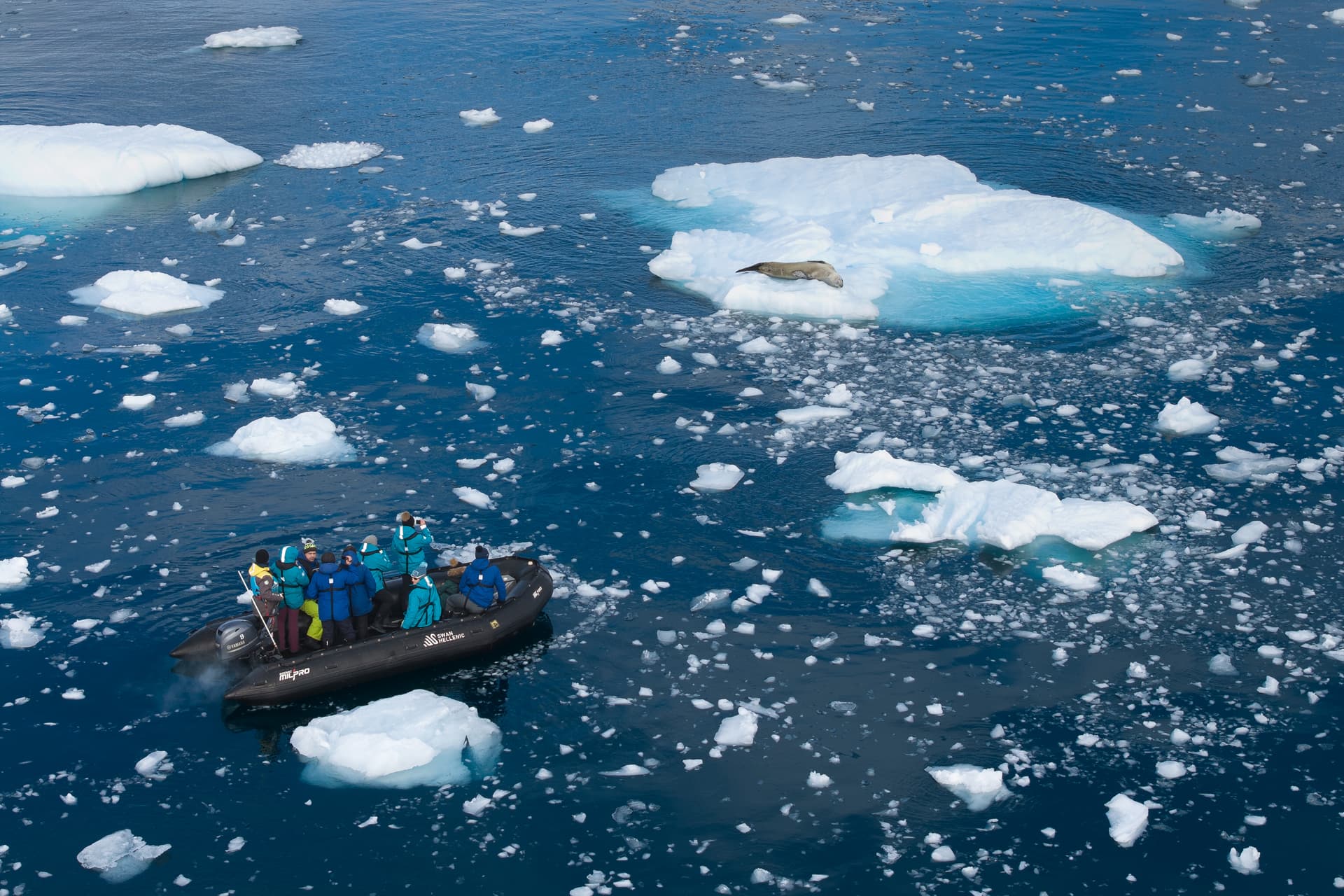 Financial Times Feature on Swan Hellenic’s voyage to South Georgia, Falklands and Antarctic Peninsula