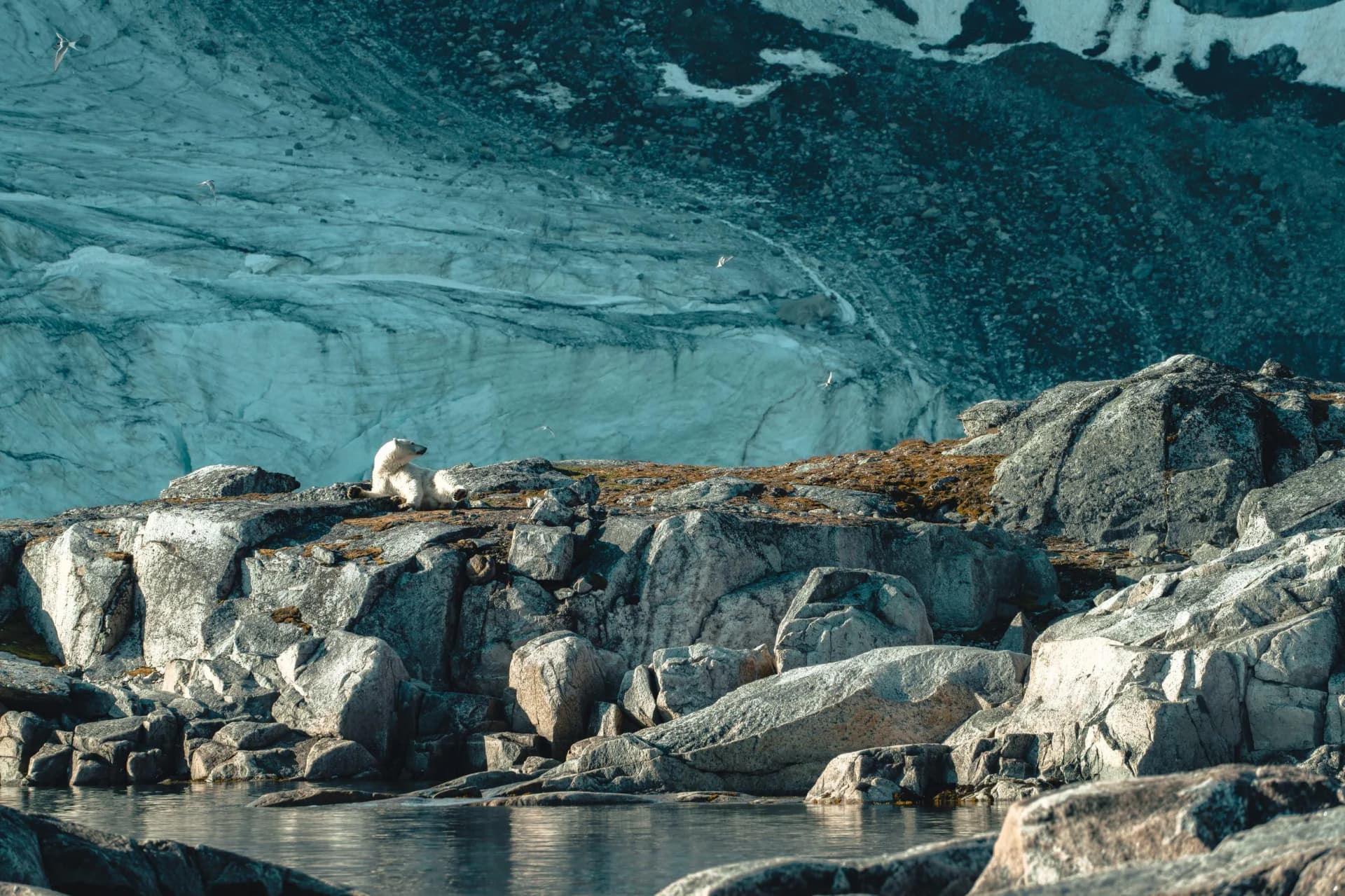 Arctic cruise in Svalbard, Greenland and Iceland