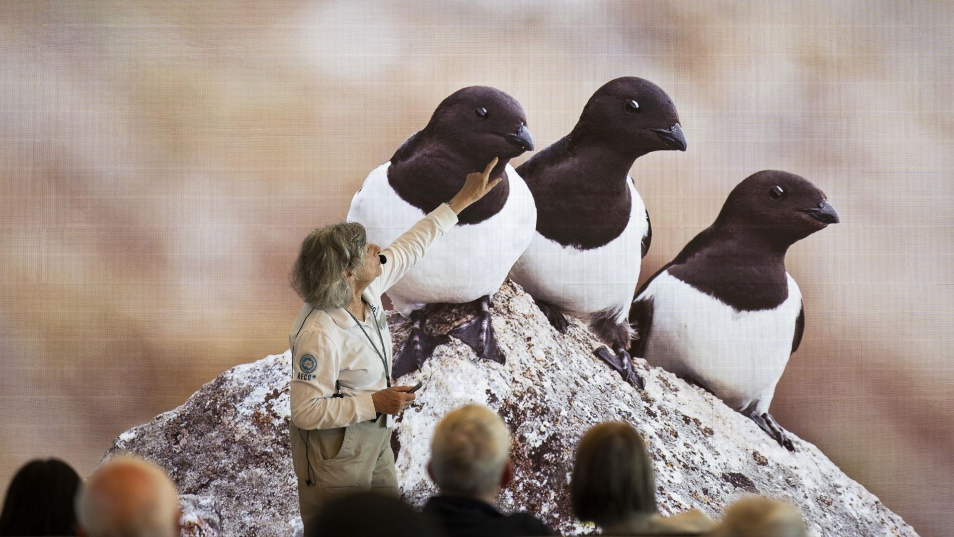 008e97e1cf1e73166cb9212ccbb942e01f8e4794