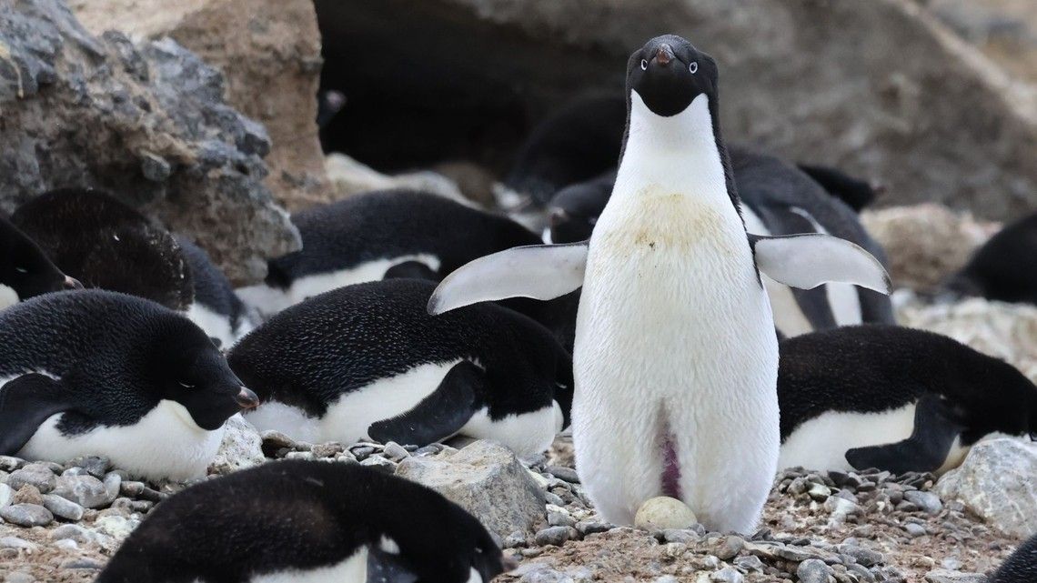 643761e9c7469cafdd515d43d860a55abe4dfac6