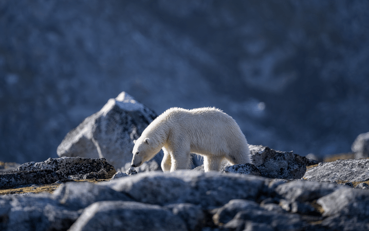 6876b832546163bd6979e5d4f3fcdb5c4b72f481