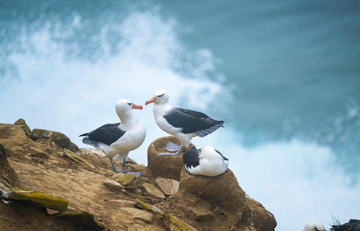 70de2b660f29f13940cd2a3d177f788c1e384e72