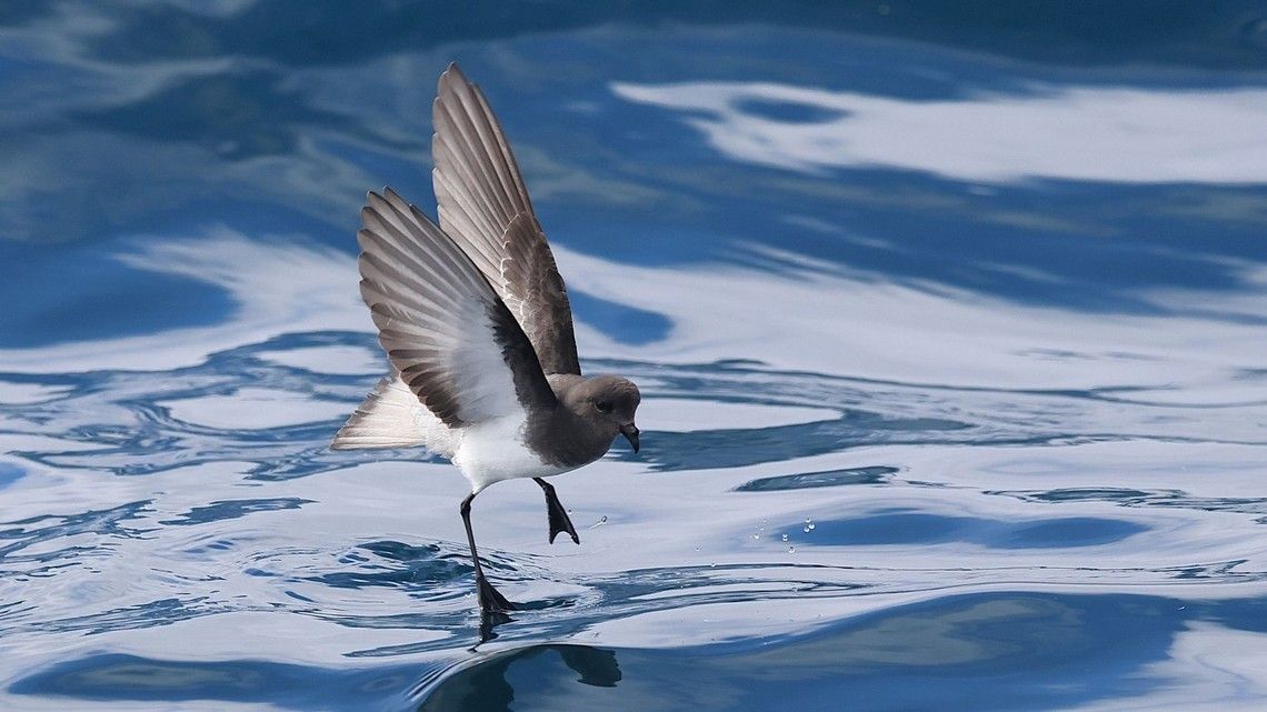 a5aec21fb158d781f8b78c3c63a476c6dd6ac316